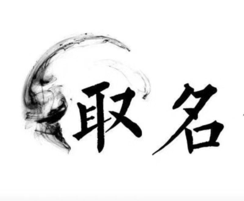  镇康宝宝取名 大师一对一人工起名
