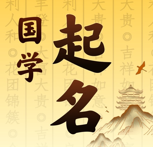 镇康国学起名 人工起名一对一
